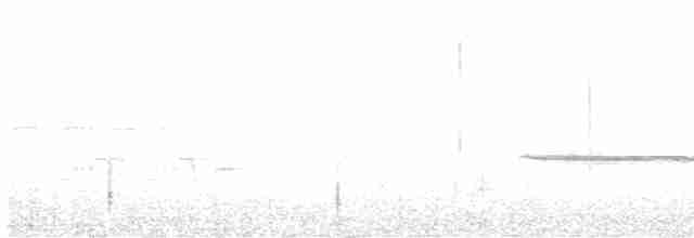 Квічаль рудобровий - ML595628011