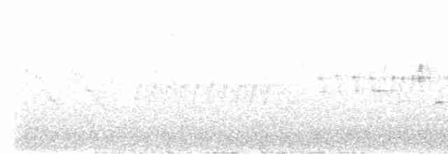 Black-throated Gray Warbler - ML595662541