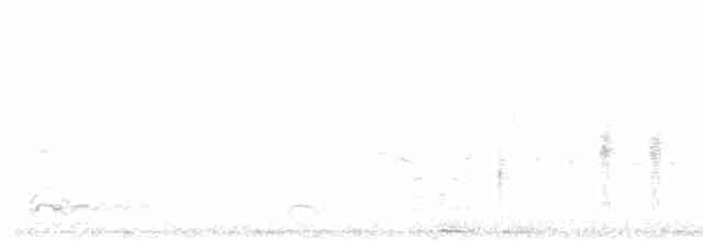 Common Gallinule - ML595670151