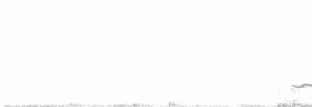 Лінивка-смугохвіст плямистобока - ML595707721