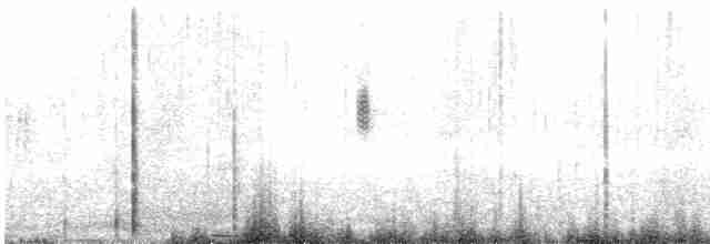 Mirlo Acuático Europeo - ML595725981