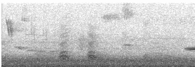 Turuncu Ardıç - ML595772331