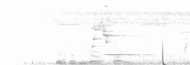 arassari hnědouchý - ML595805871
