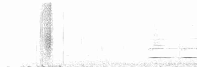 Beyaz Gerdanlı Tukan - ML595806501