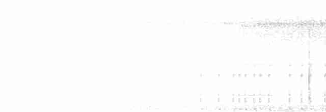 Манакін-стрибун карликовий - ML595807561