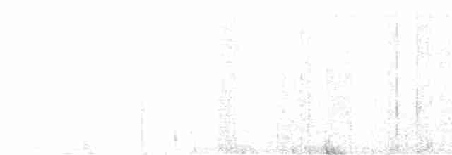 Манакін-стрибун карликовий - ML595813541