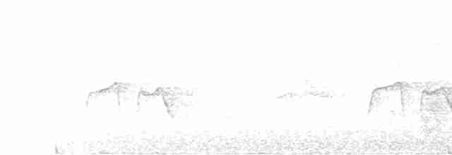 Weißflecken-Ameisenwächter - ML595813791