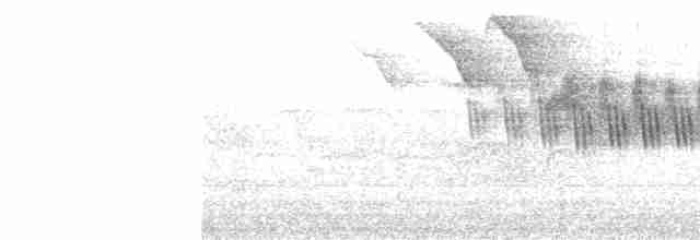 Cerulean Warbler - ML595815621