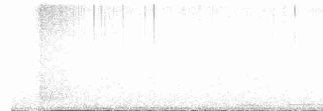 holub hřivnáč - ML595826431