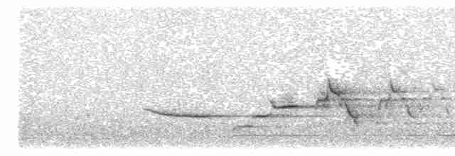 Дрізд-короткодзьоб плямистоволий - ML595832401