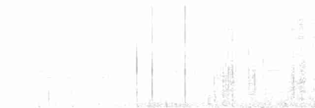 Чернохохлая гологлазка - ML595849151