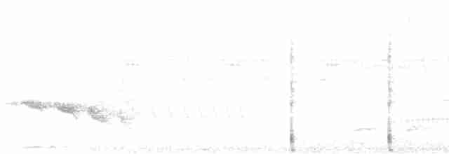 Kuzeyli Kestanerengi Karıncakuşu - ML595849811