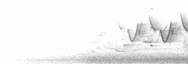 Common Yellowthroat - ML595857741