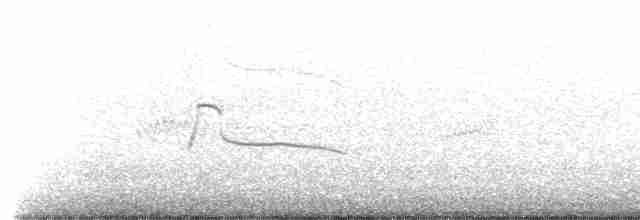 Large-billed Tern - ML595881711