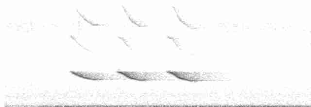 Tufted Titmouse - ML595915521