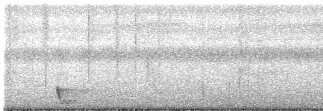 Large-tailed Nightjar - ML595925231