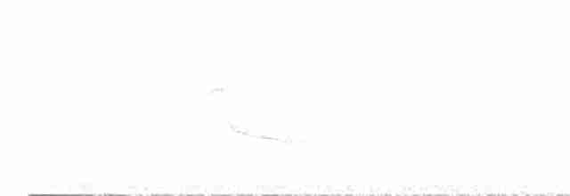 Манакін-стрибун карликовий - ML595980521