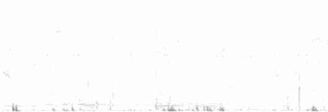 Маскированный сорокопут - ML595988111