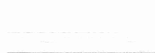 Тиран-карлик амазонійський - ML595990801