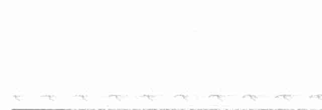kolibřík bělobradý - ML595991221