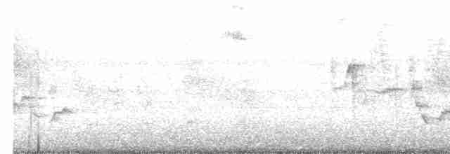 Каролинский крапивник - ML595993451