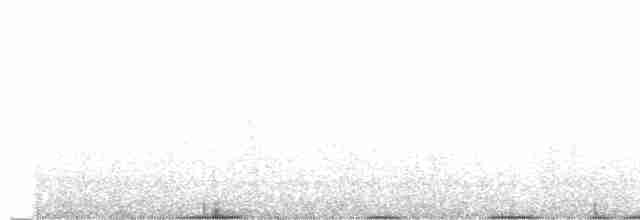Gallo Oscuro - ML596006721