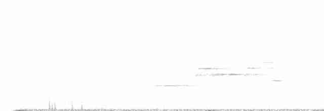 Дрізд-короткодзьоб плямистоволий - ML596012981
