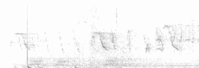 Blyth's Reed Warbler - ML596013791