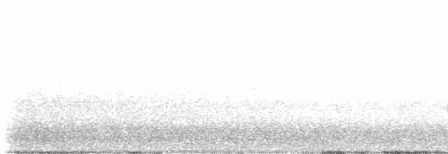 White-headed Woodpecker - ML596083391