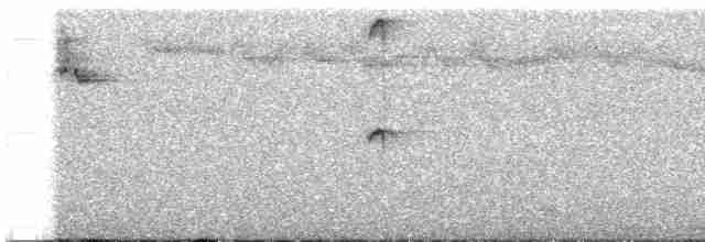 Исполинский колибри - ML596131861