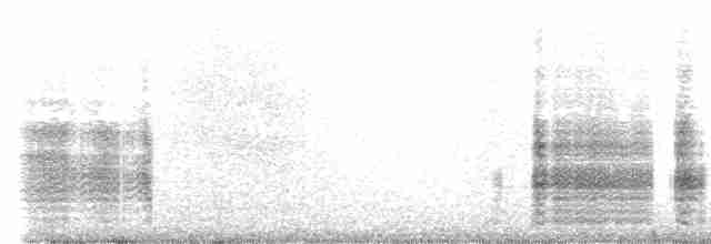 Качурка морська (підвид pelagicus) - ML596148591