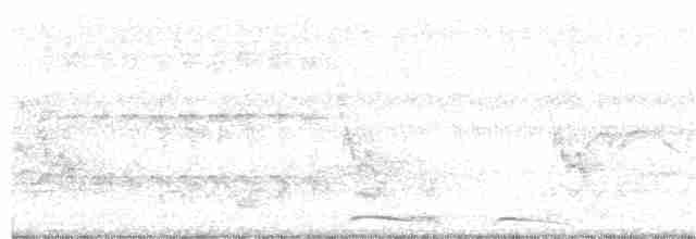 holoubek mexický - ML59615691