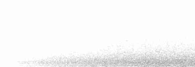 Ak Göğüslü Suyelvesi - ML596283111