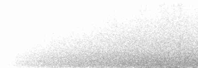 White-browed Laughingthrush - ML596283151