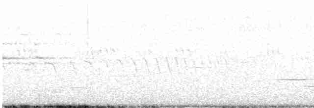 Дрізд-короткодзьоб плямистоволий - ML596287711