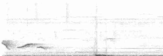 Kara Gerdanlı Çıtkuşu - ML596303871