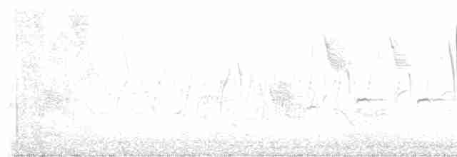Тростниковый крапивник - ML596305591