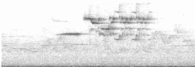 Дрізд-короткодзьоб плямистоволий - ML596312491