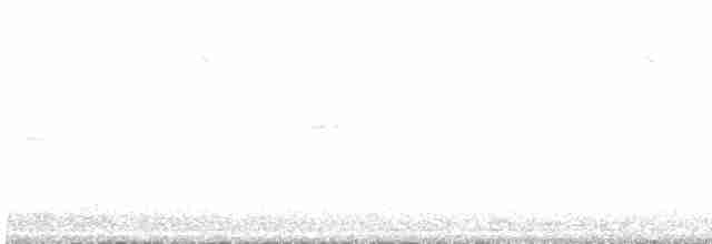 Büyük Çil Yelvesi - ML596318971