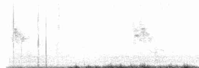 Western Yellow Wagtail - ML596368151