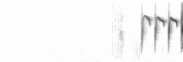 Синиця біла [група cyanus] - ML596371911