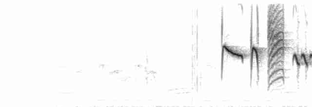 Mésange azurée (groupe cyanus) - ML596371931