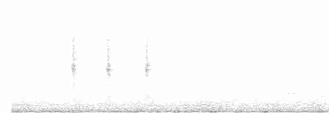Сорокопуд терновий - ML596382871