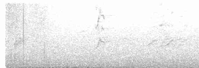Sulphur-winged Parakeet - ML596391171