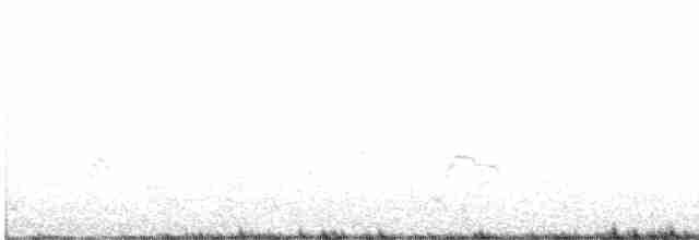コシジロウミツバメ - ML596402511