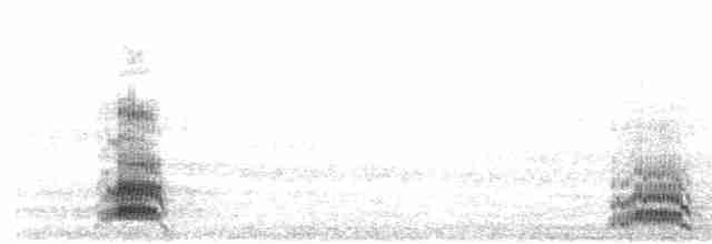 Белохвостая куропатка - ML596431291