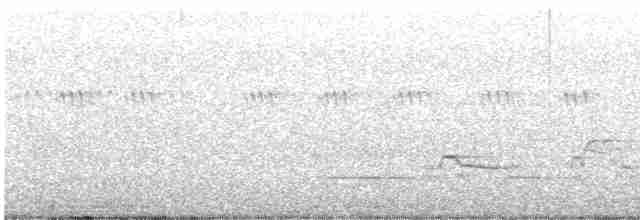 Дрізд-короткодзьоб плямистоволий - ML596450421