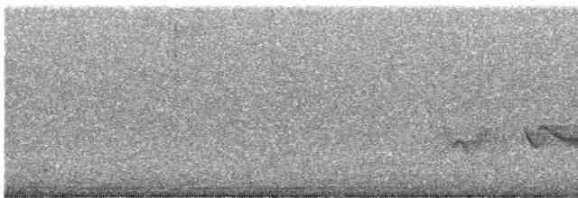 Чернокрылая пиранга - ML596455251