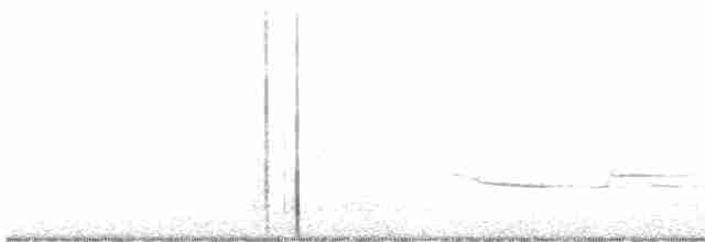 Дрізд-короткодзьоб плямистоволий - ML596460981