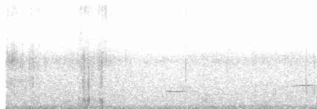 Méliphage carillonneur - ML596477261
